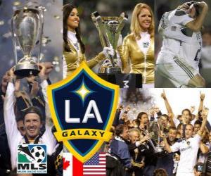 yapboz LA Galaxy, 2011 MLS şampiyonu
